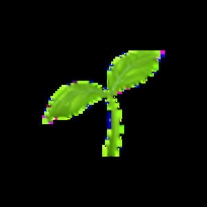 Meet your Posher, Logan mccarty